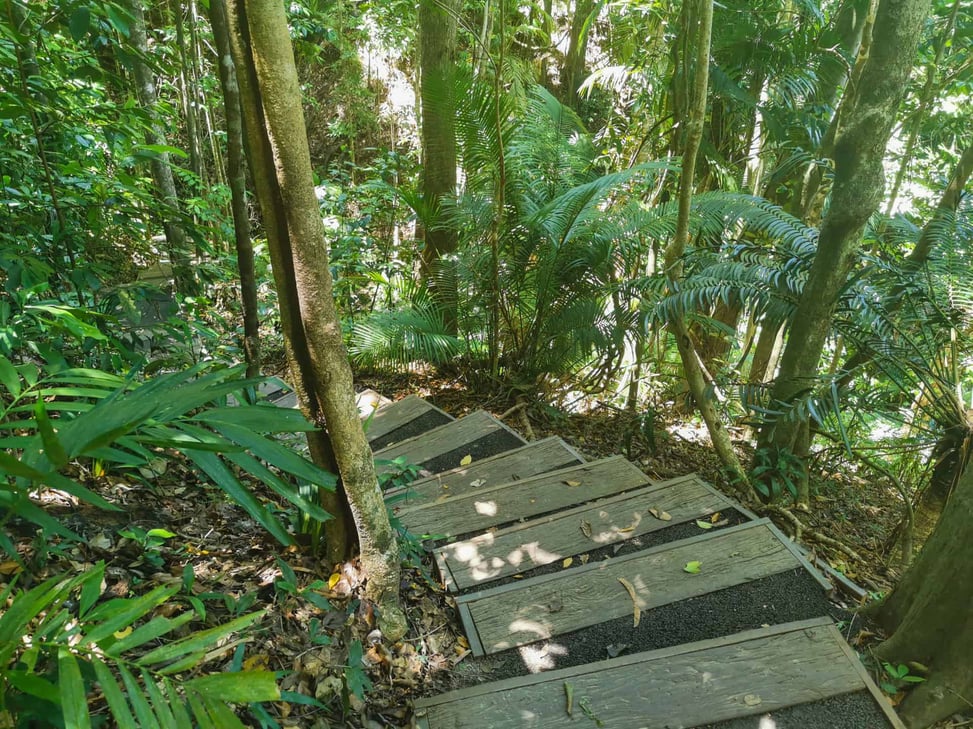 Red Arrow Track in Edge Hill, Cairns // Travel Mermaid