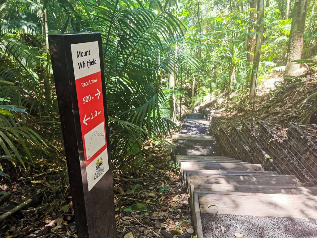 Red Arrow Track in Edge Hill, Cairns // Travel Mermaid