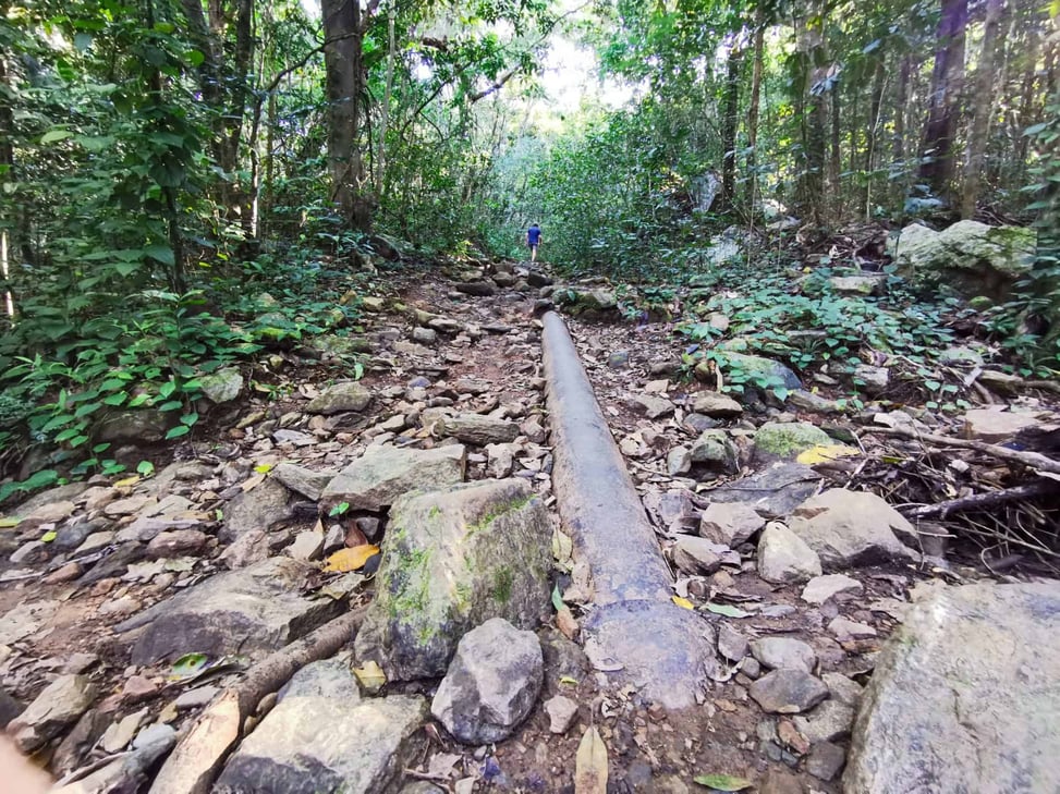 Stoney Creek Track in Cairns // Travel Mermaid