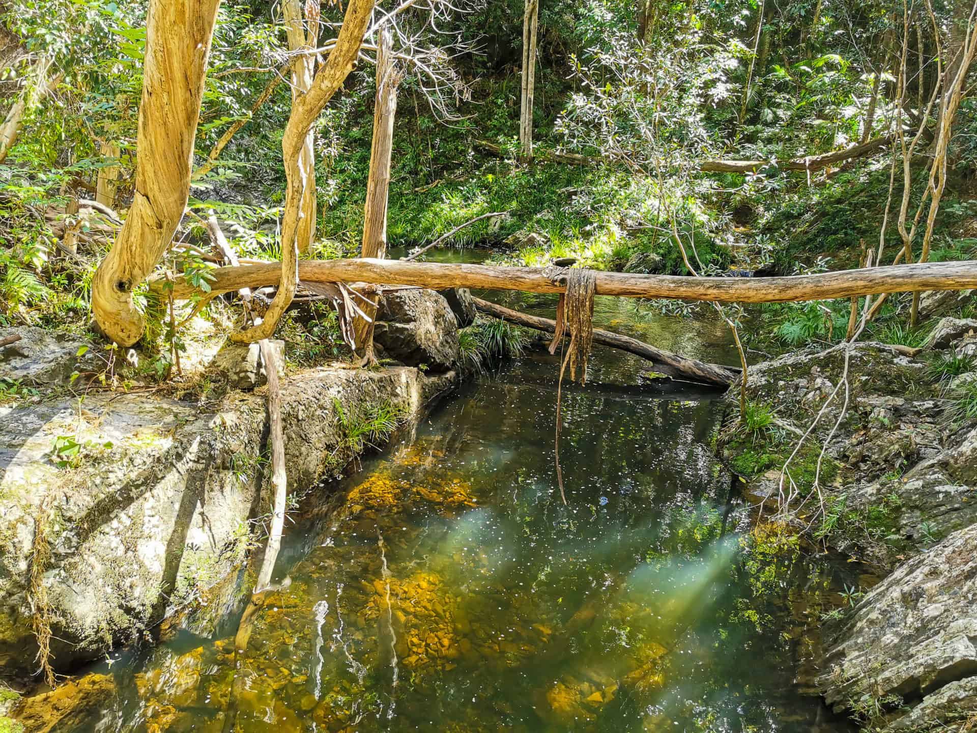 Surprise Creek Track at Barron Gorge National Park in Kuranda // Travel Mermaid