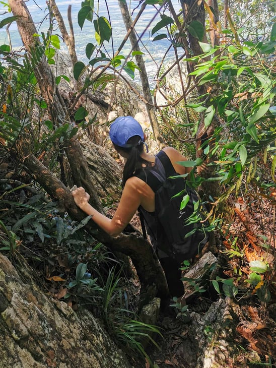 White Rock Lookout track in Cairns // Travel Mermaid