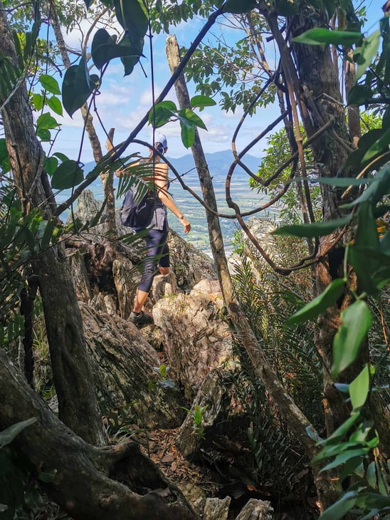 White Rock Lookout track in Cairns // Travel Mermaid