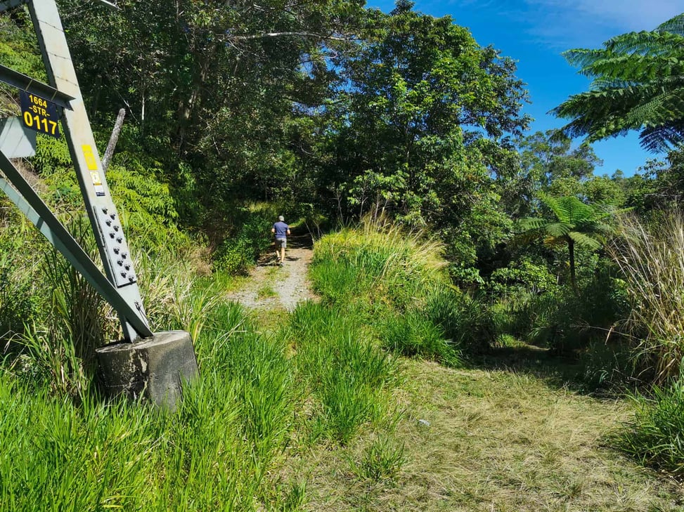 Start of White Rock Lookout hike in Cairns // Travel Mermaid