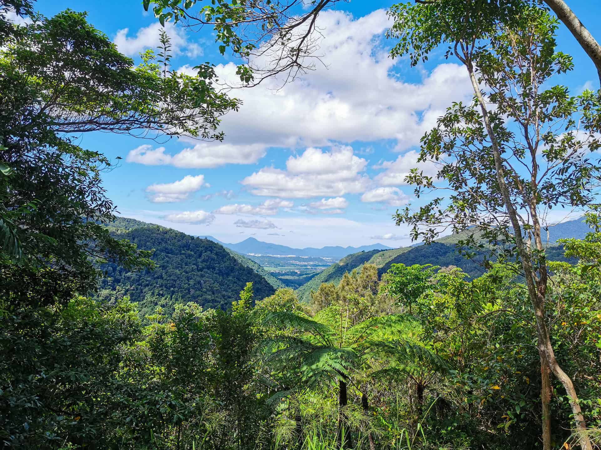 Wrights Lookout at Barron Gorge National Park in Kuranda // Travel Mermaid