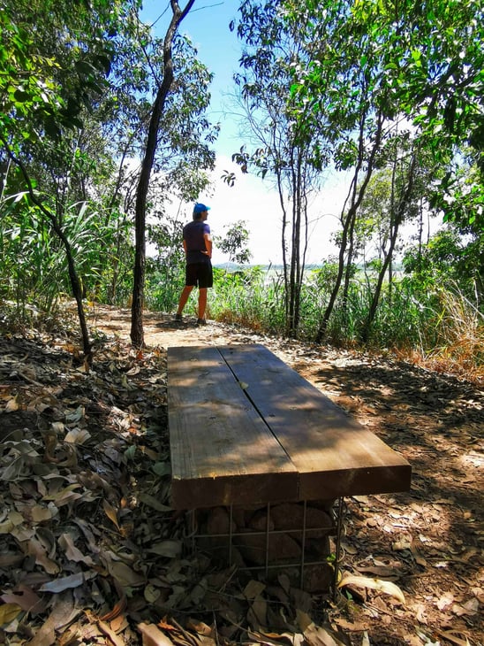 Yellow Arrow Track in Edge Hill, Cairns // Travel Mermaid