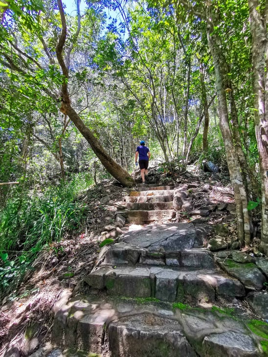 Yellow Arrow Track in Edge Hill, Cairns // Travel Mermaid
