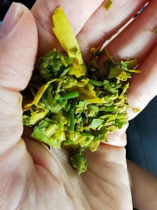 Ylang-Ylang with Walkabout Cultural Adventures // Travel Mermaid