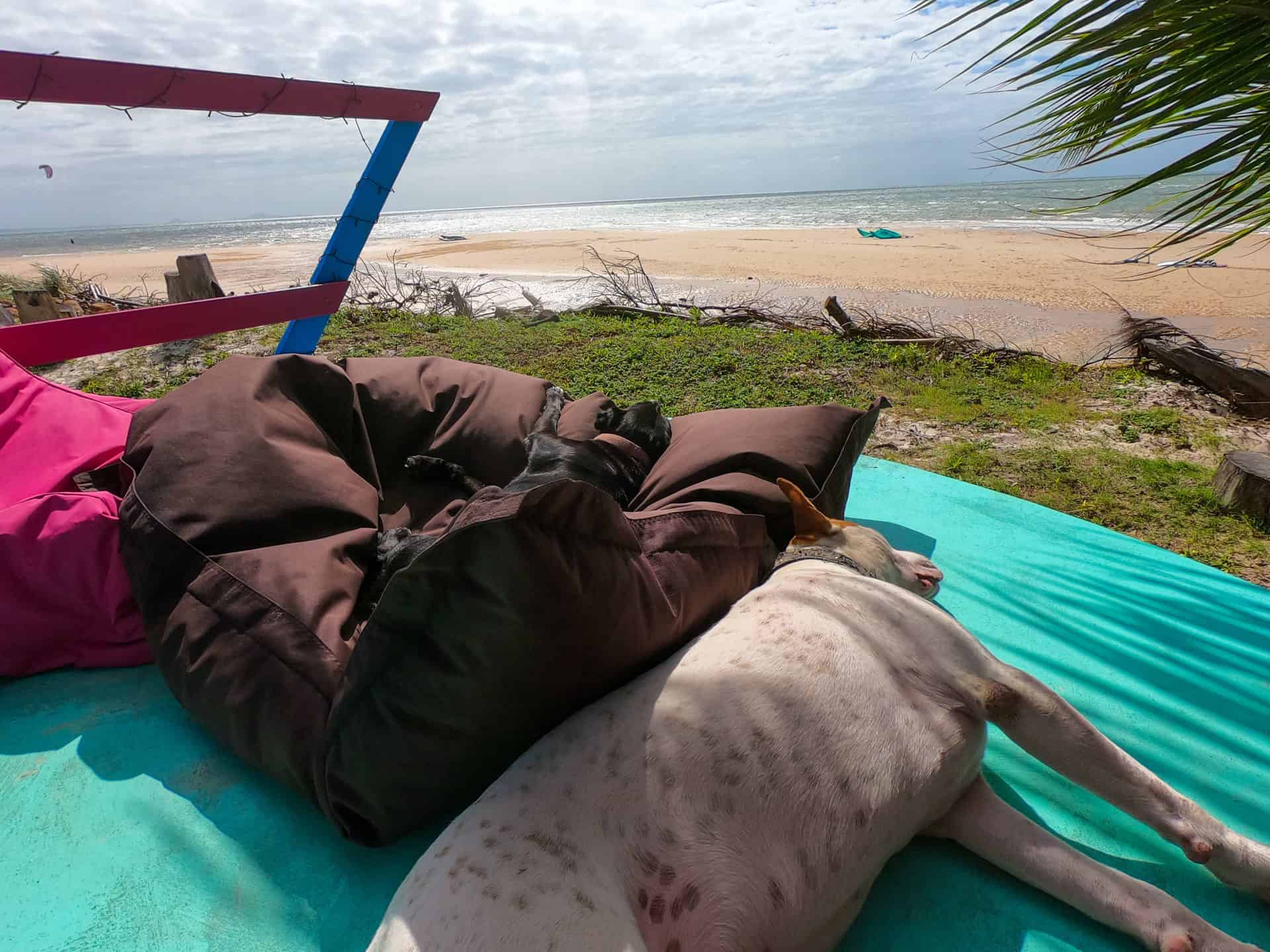 Australian Kite Surfari, Elim Beach- Far North Queensland // Travel Mermaid