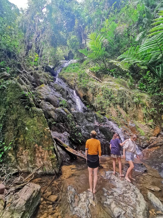Secret healing place int he Daintree Rainforest with Walkabout Cultural Adventures // Travel Mermaid