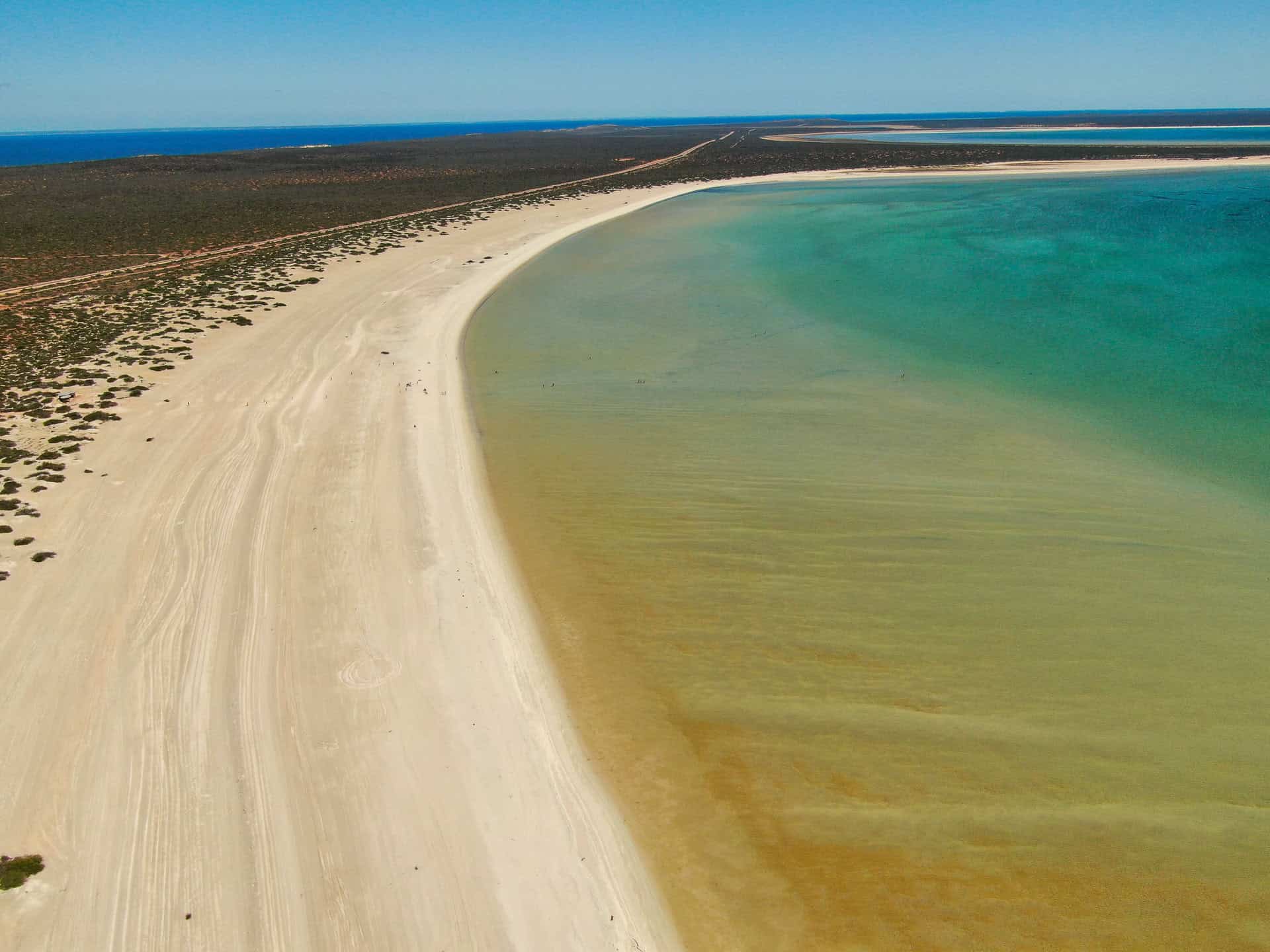 A drone shot of Shell Beach near Shark Bay in Western Australia