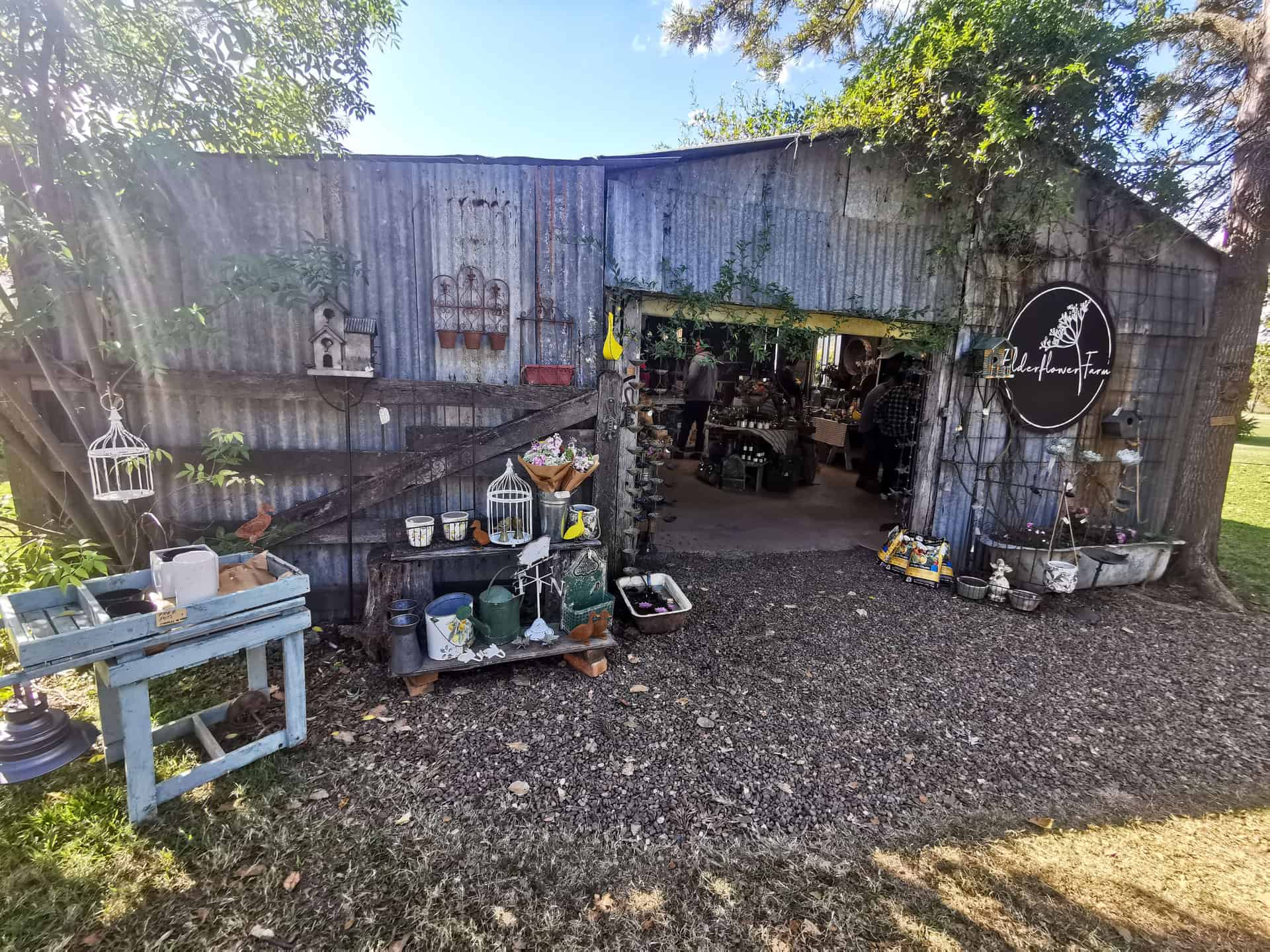 Elderflower Farm at Scenic Rim Farm Shop in Southeast Queensland