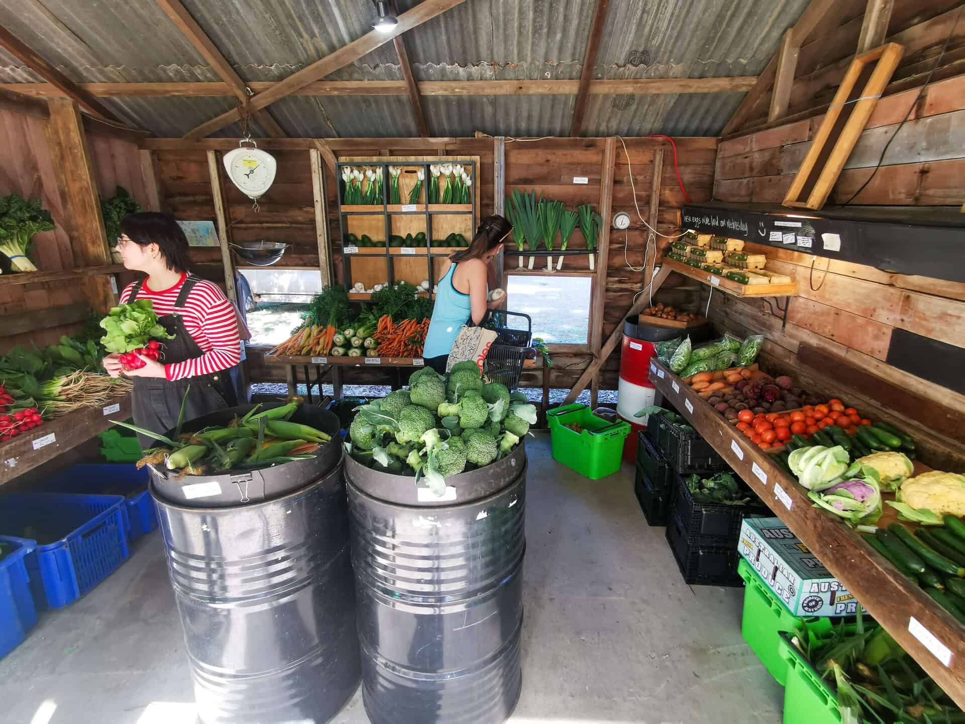 Fifth Acre Farm Produce Shed at Scenic Rim Farm Shop in Southeast Queensland