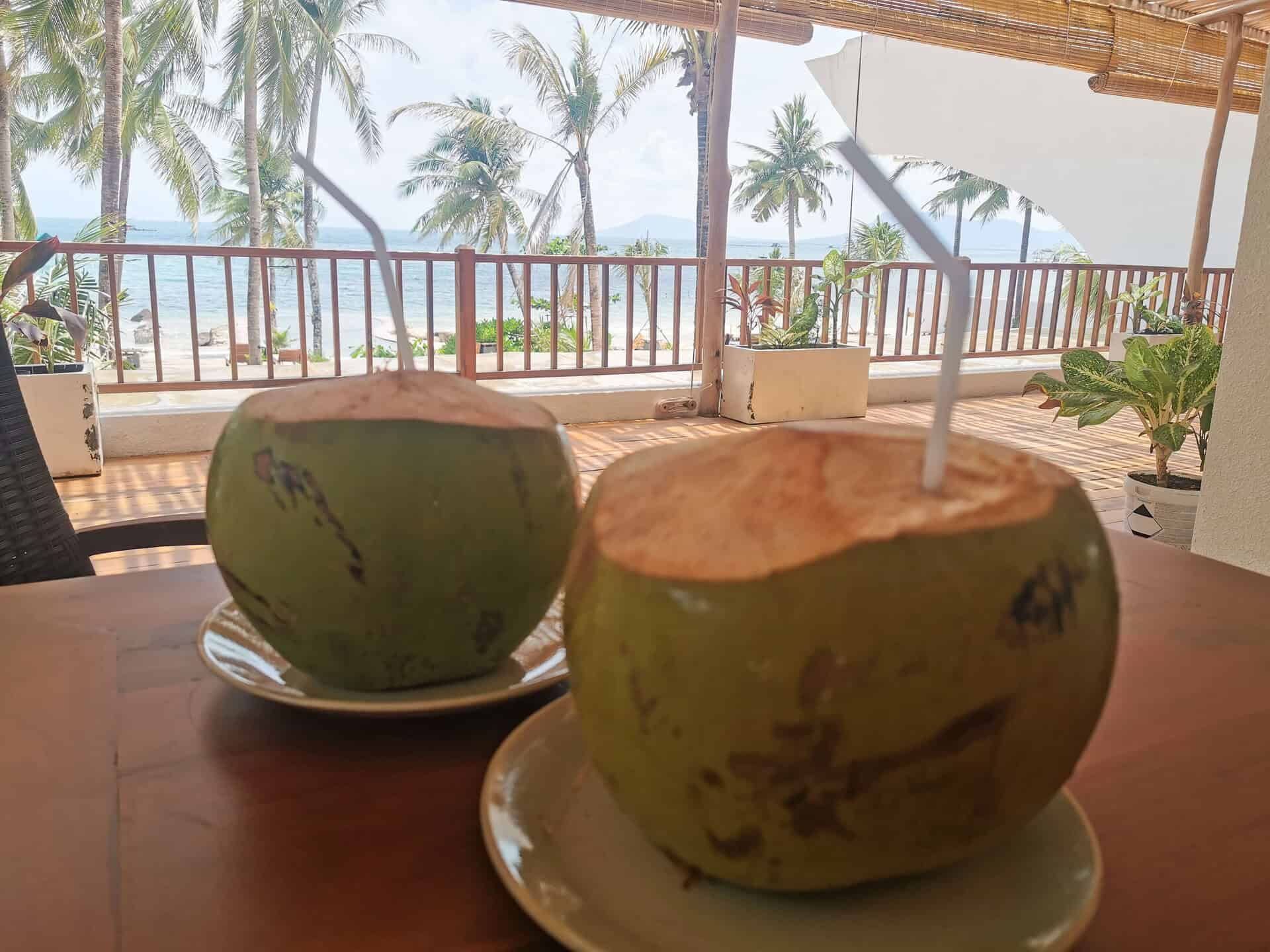 Coconuts at Casa D'Elysea Resort in Phu Quoc, Vietnam