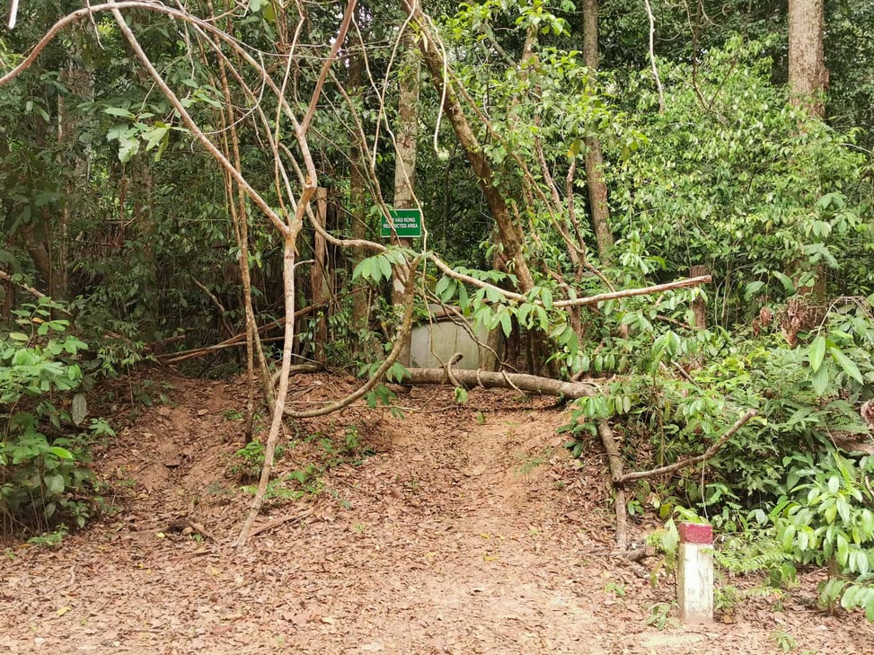 Into The Wild hike trailhead in Phu Quoc, Vietnam
