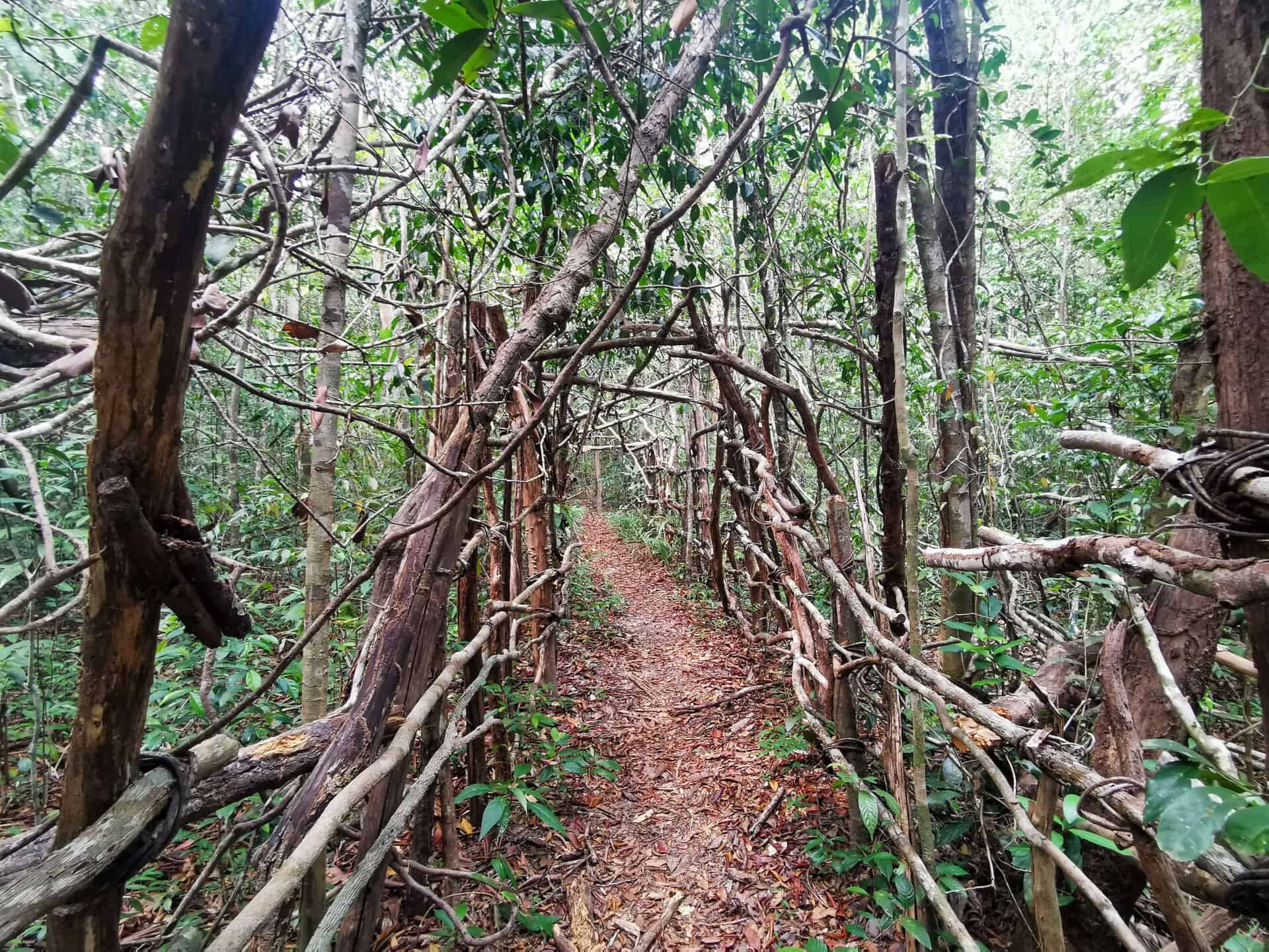 Bamboo structures around the Into The Wild hiking trail in Phu Quoc, Vietnam