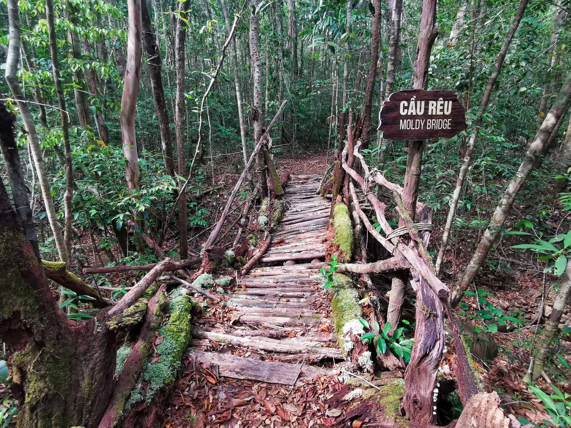 Moldy Bridge on the Into The Wild hiking trail in Phu Quoc, Vietnam