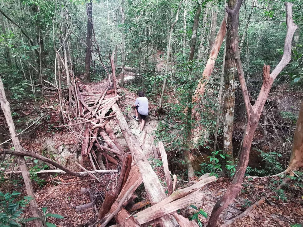Dilapidated bridge along the Into The Wild hiking trail in Phu Quoc, Vietnam