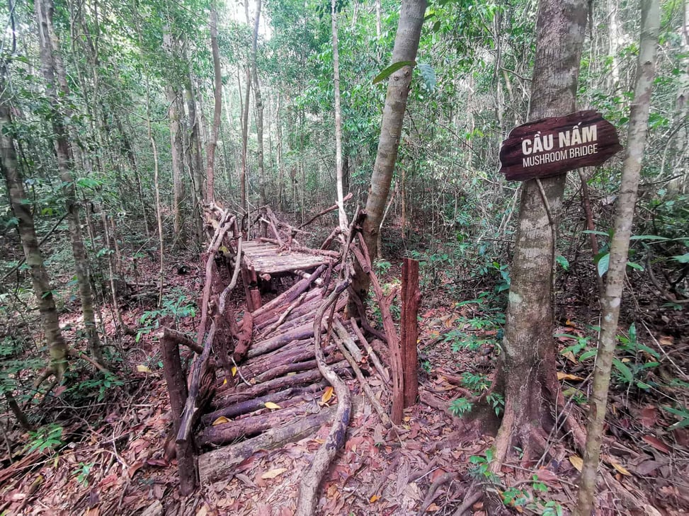 Mushroom Bridge along the Into The Wild hiking trail in Phu Quoc, Vietnam