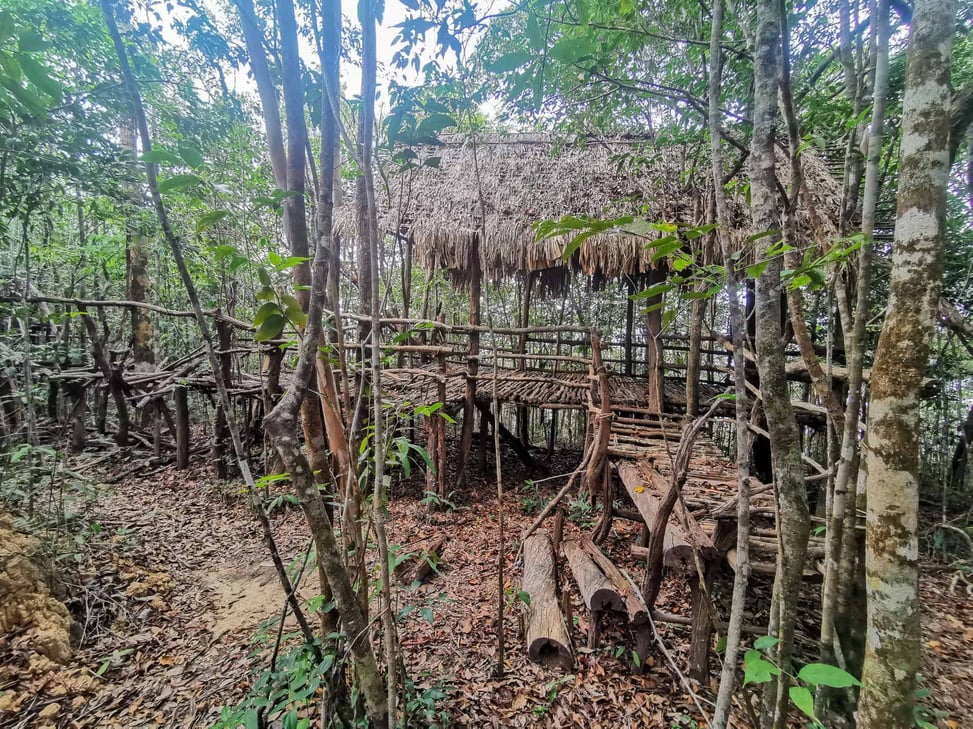 Bamboo platform along the Into The Wild hiking trail in Phu Quoc, Vietnam