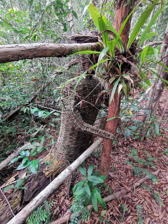 Eerie structure made of wire along the Into The Wild hiking trail in Phu Quoc, Vietnam