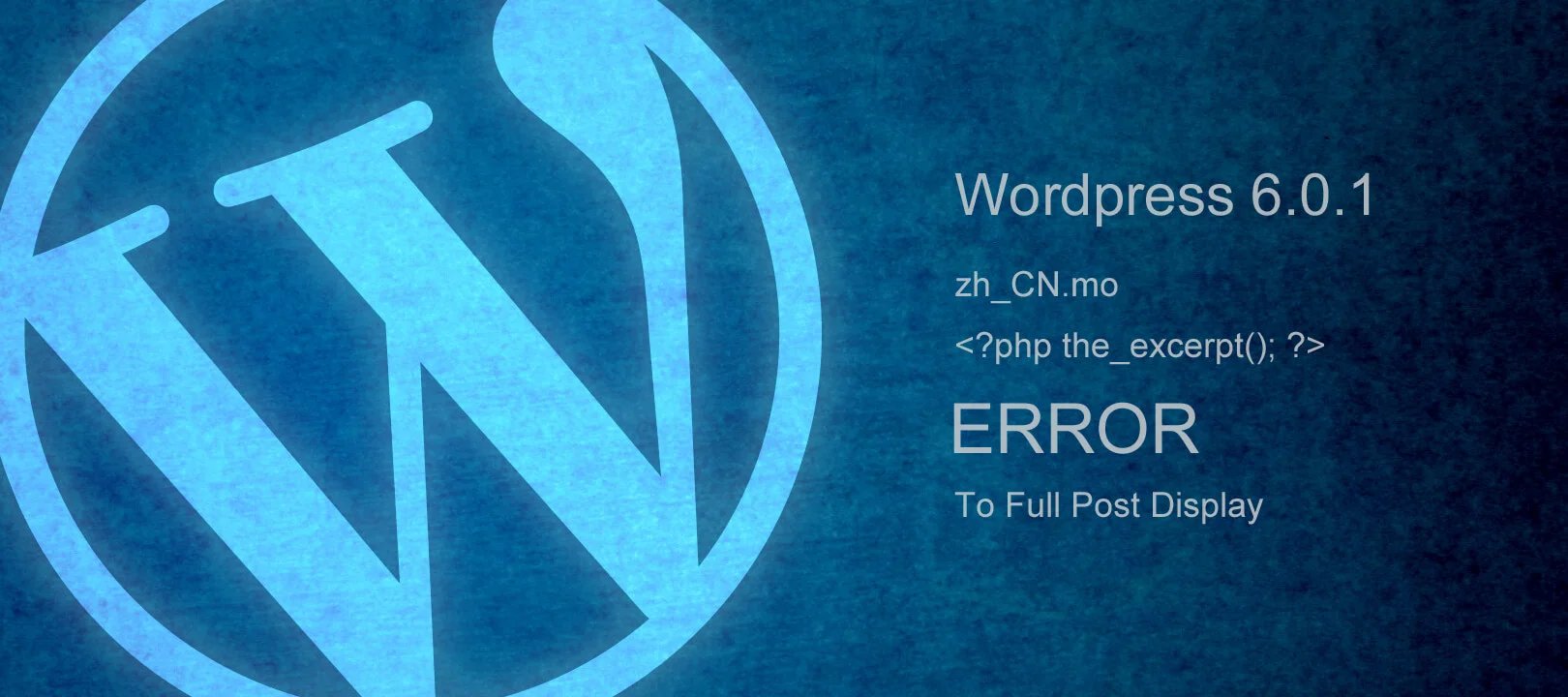 Wordpress 6.0.1 摘要修复