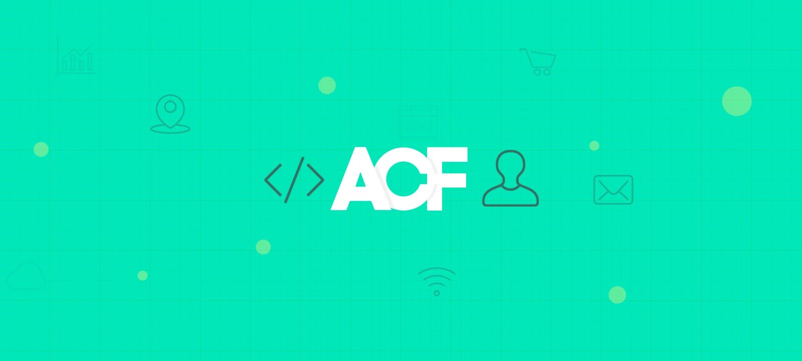 ACF 插件显示图片