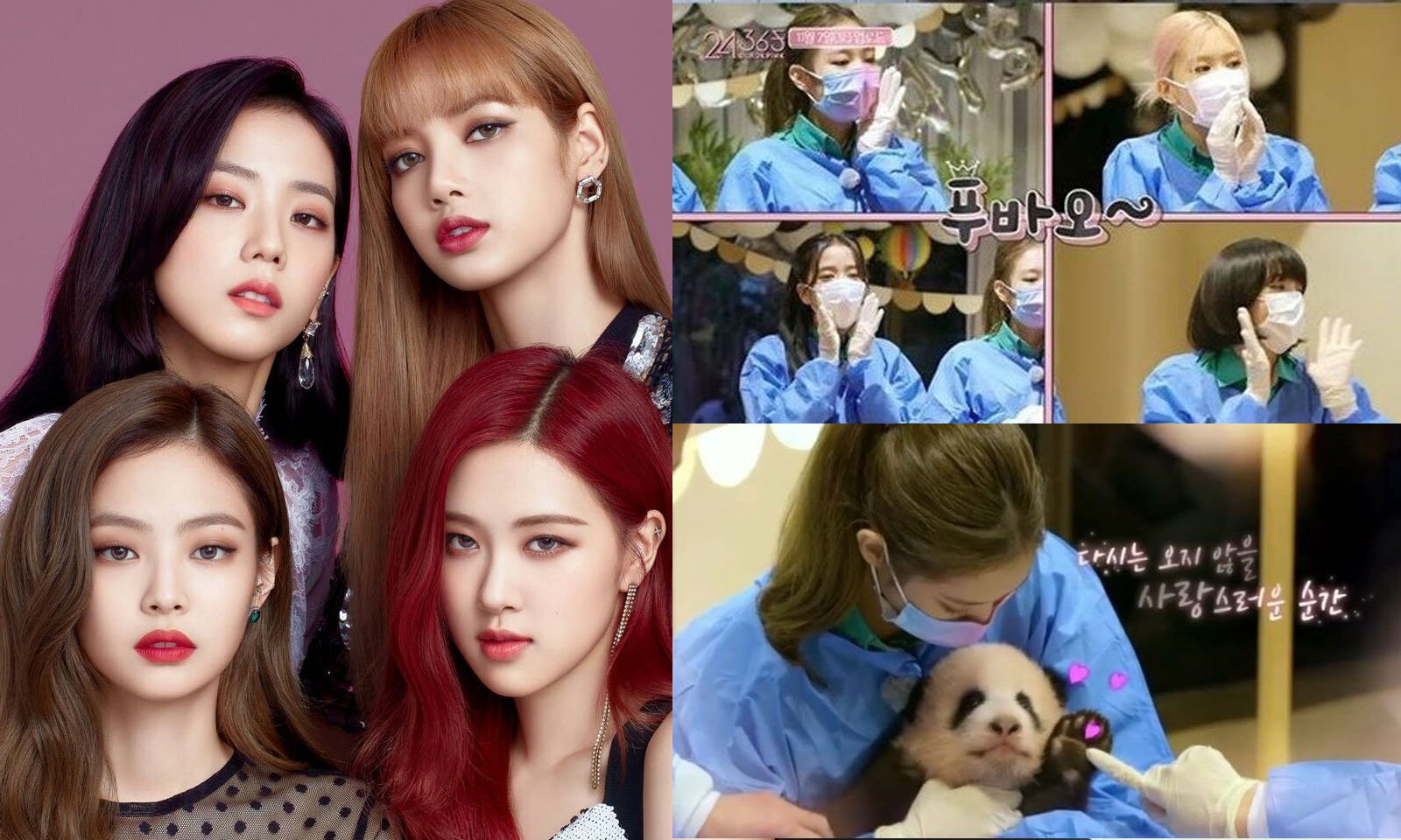 Matéria sobre BLACKPINK na Rede Globo revolta fãs do grupo de K-pop