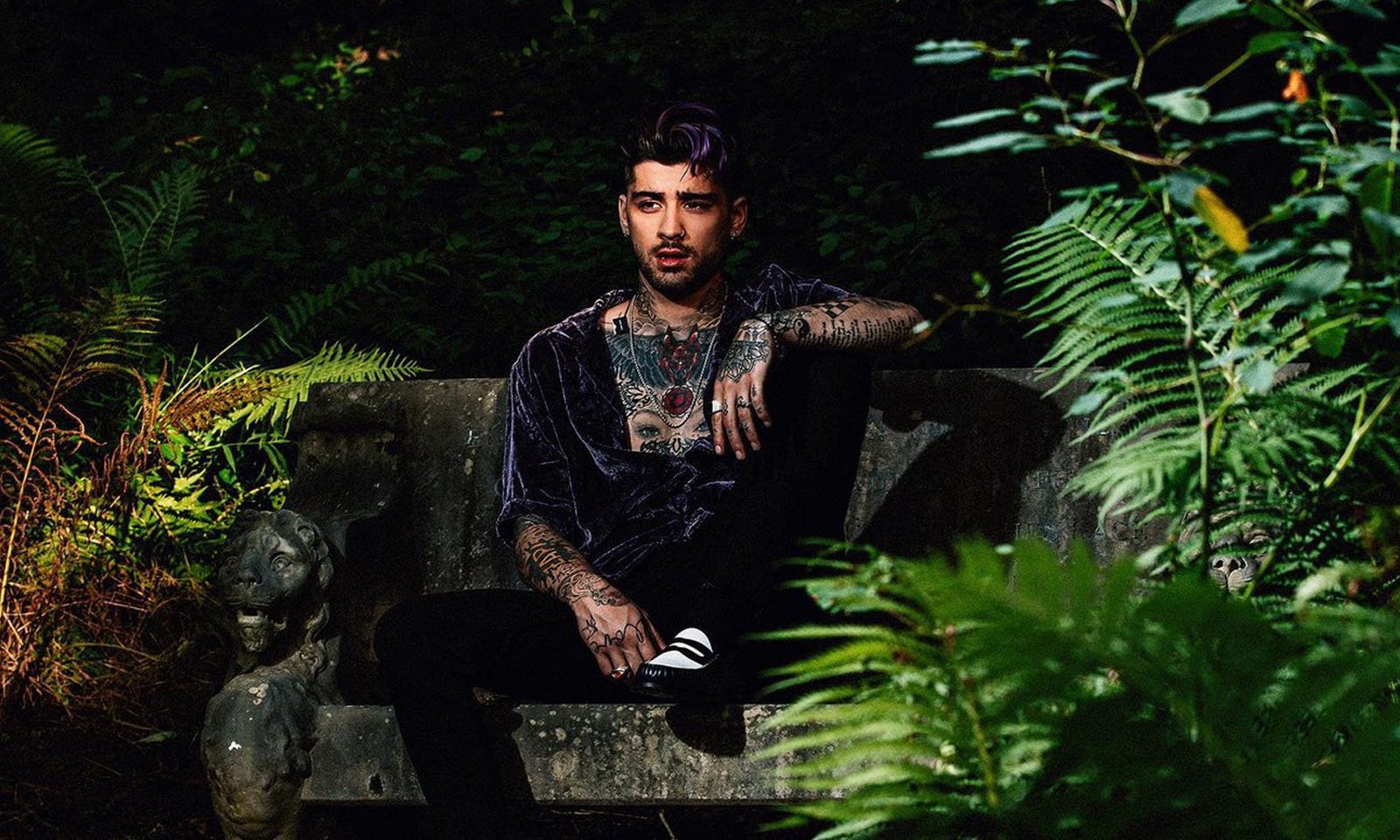 Zayn atualiza conteúdo das redes e fãs especulam sobre lançamento