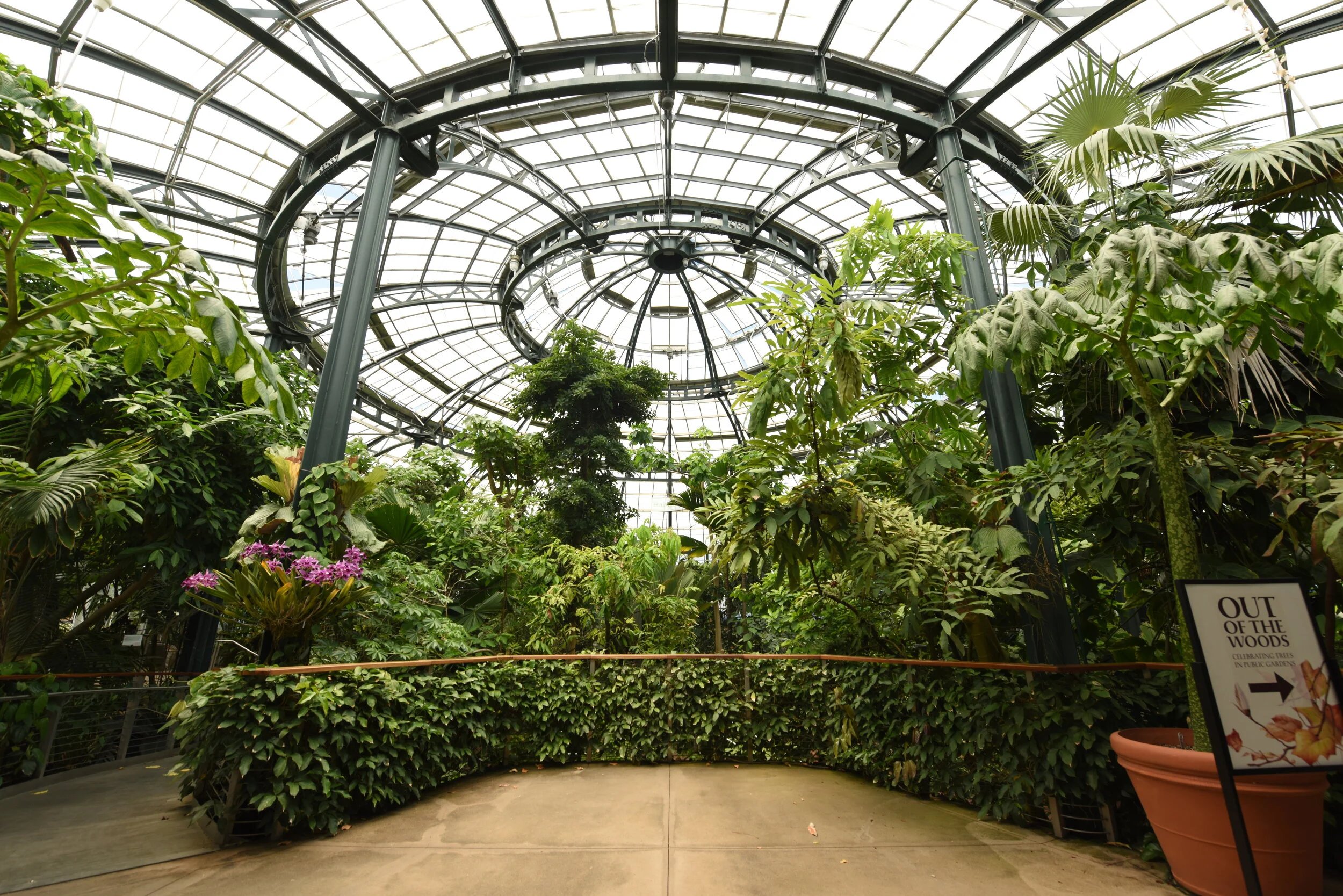 The Huntington Library Conservatory interior in Pasadena, California — indoor rainy day activity