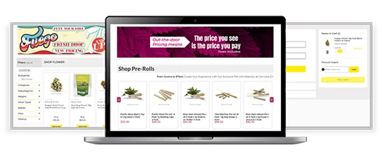 VFI Technology - Multiple computer screens showing cannabis e-commerce stores