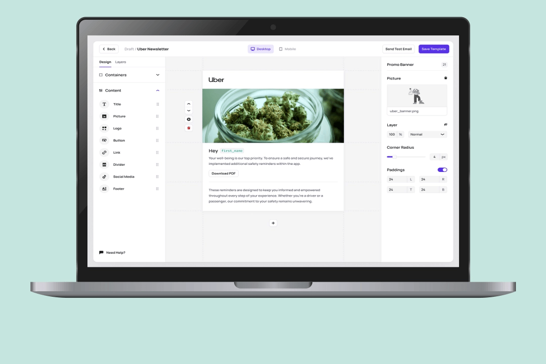 Cannabis ecommerce site on laptop displaying image with content writing