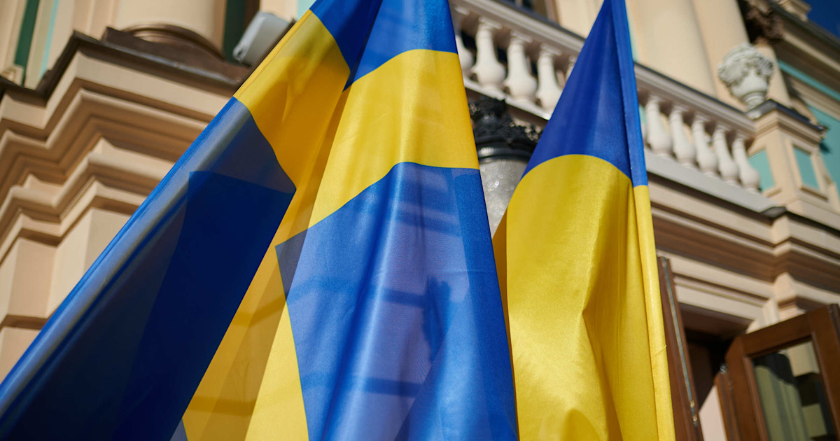 Regeringen uppdrar försvarsmyndigheter redovisa erfarenheter från Ukraina