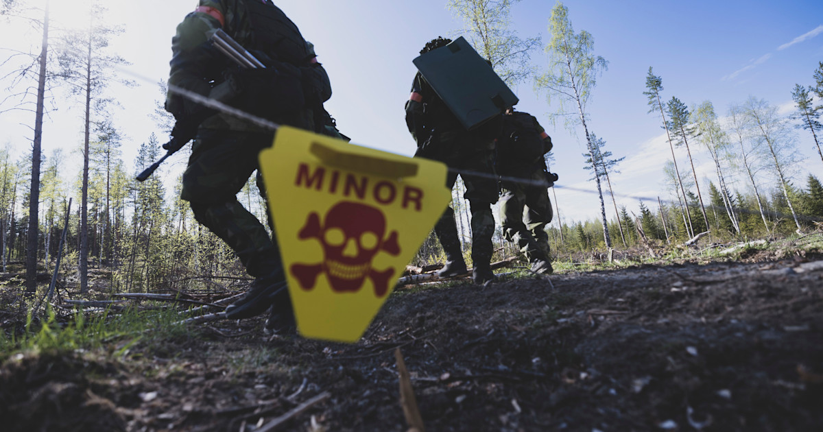 MSB skickar 250 minsökare till Ukraina