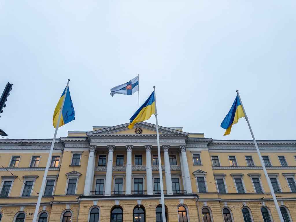 Parlamentarisk arbejdsgruppe skal gennemgå Finlands forsvar