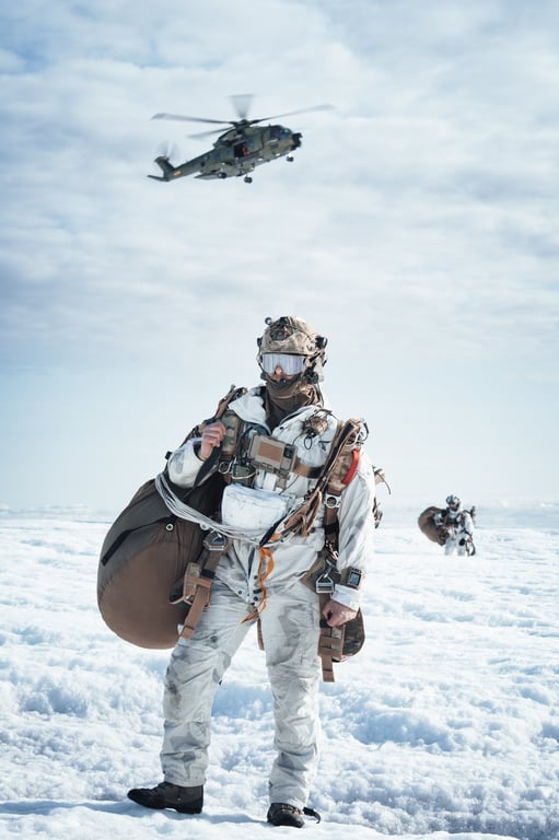 Nordiska länder deltar i Arctic Sentry