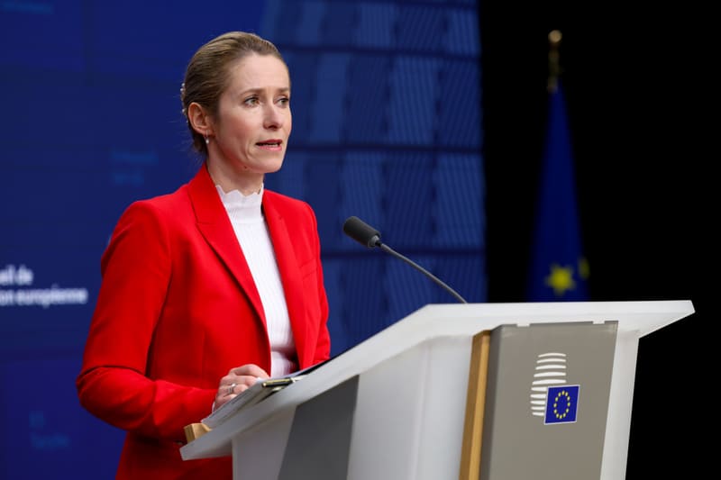 EU plans Arctic cable and maritime security hubs