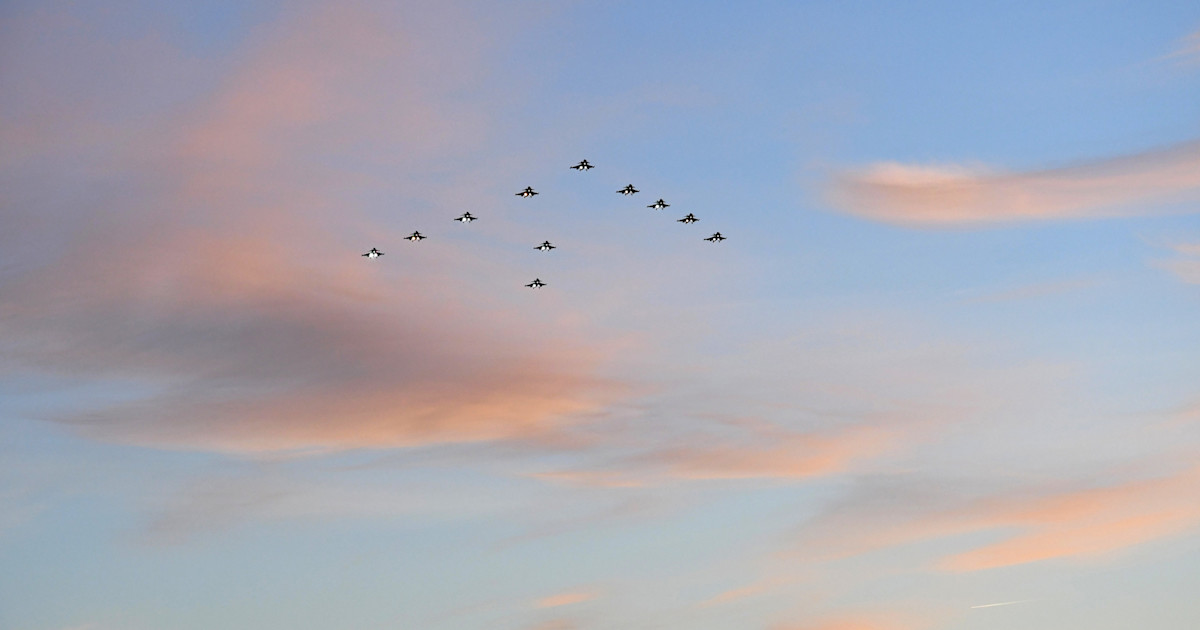 Nordisk samarbejde i årets juletræsflyvninger