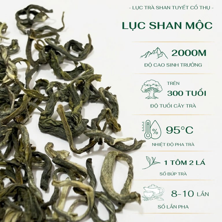 Lục Shan Mộc