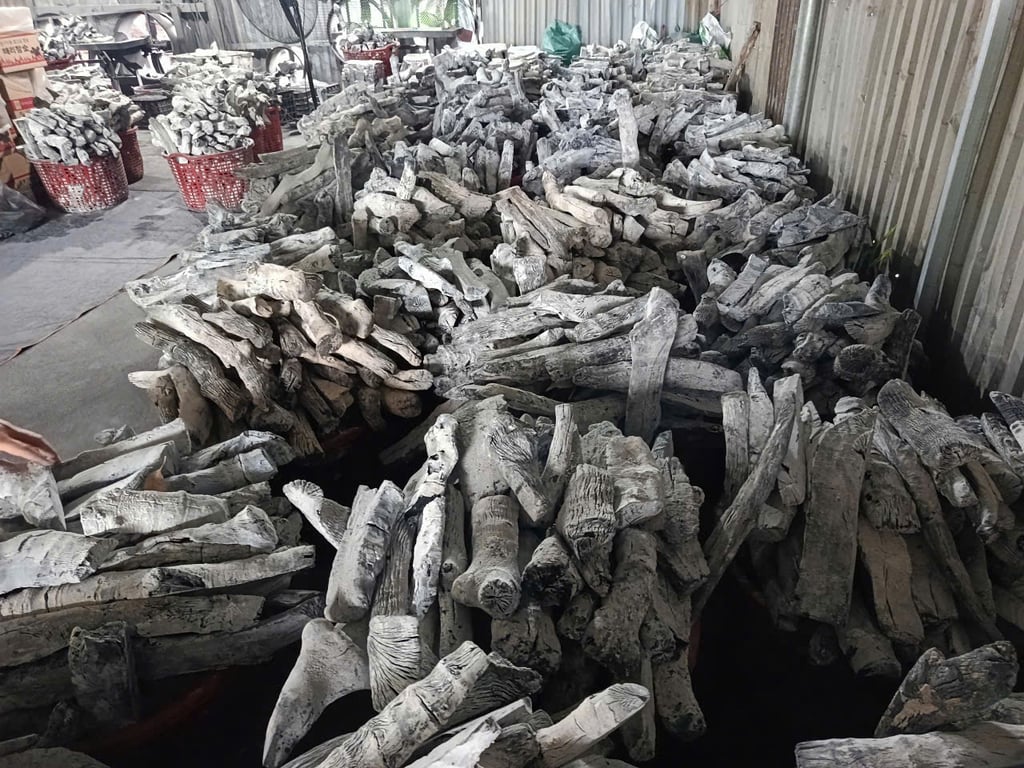 Why Charcoal Price Is More Than Just A Number? (Bản sao)