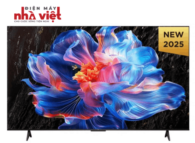 Google Tivi TCL 4K 55 Inch 55P6K