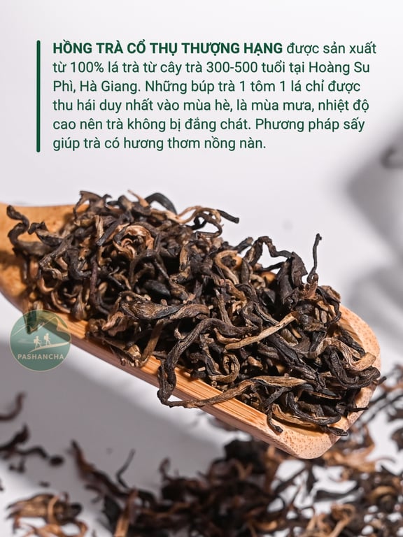 Hồng trà cổ thụ thượng hạng  1 tôm 1 lá