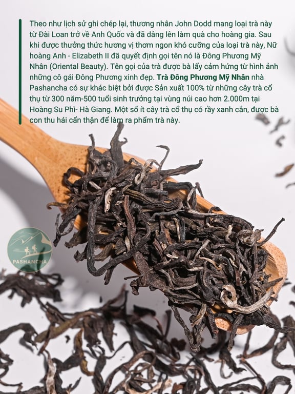 Trà Đông Phương Mỹ Nhân