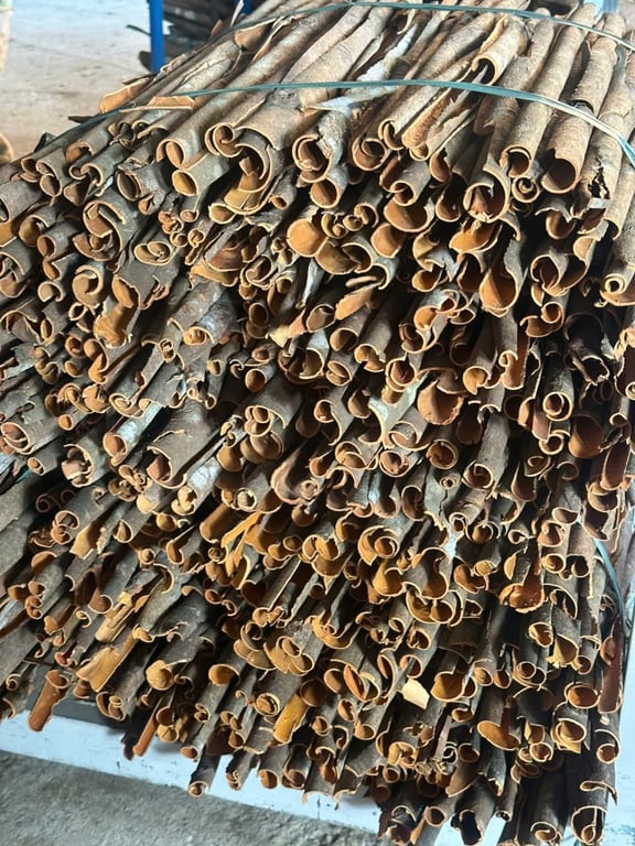 Quế chế thành (quế c)
