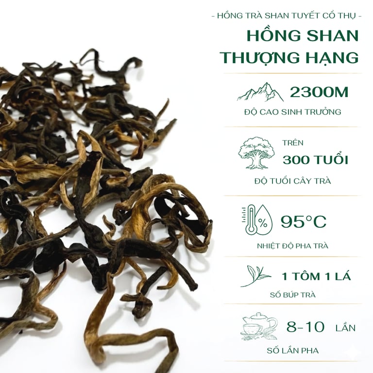 Hồng Shan Thượng Hạng