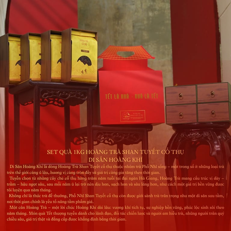 Set 1kg Hoàng Trà Shan Tuyết Cổ Thụ Di Sản Hoàng Khí