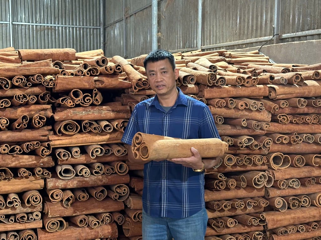 Quế điếu