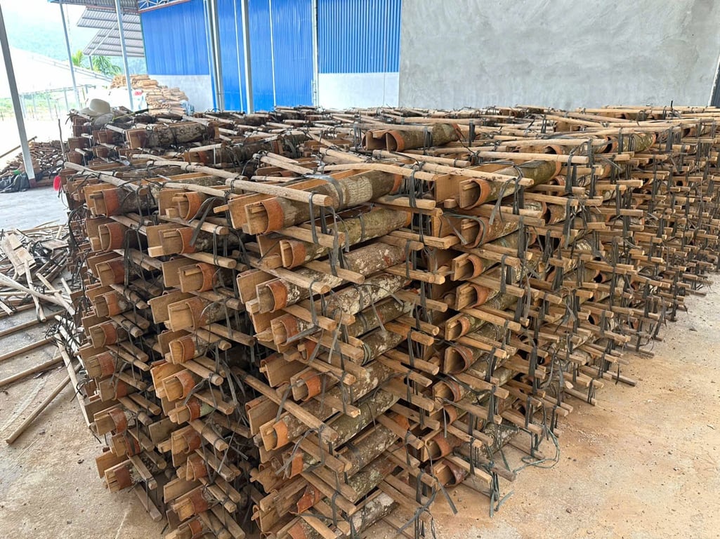 Quế số 3