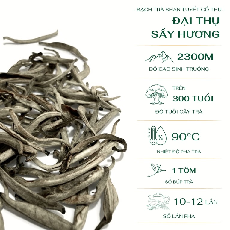 Đại Thụ Sấy Hương