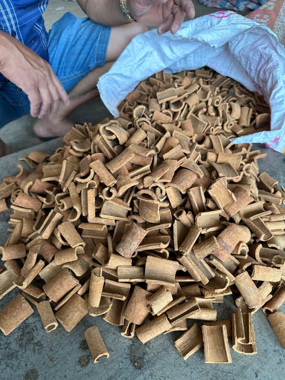 Quế băm vuông