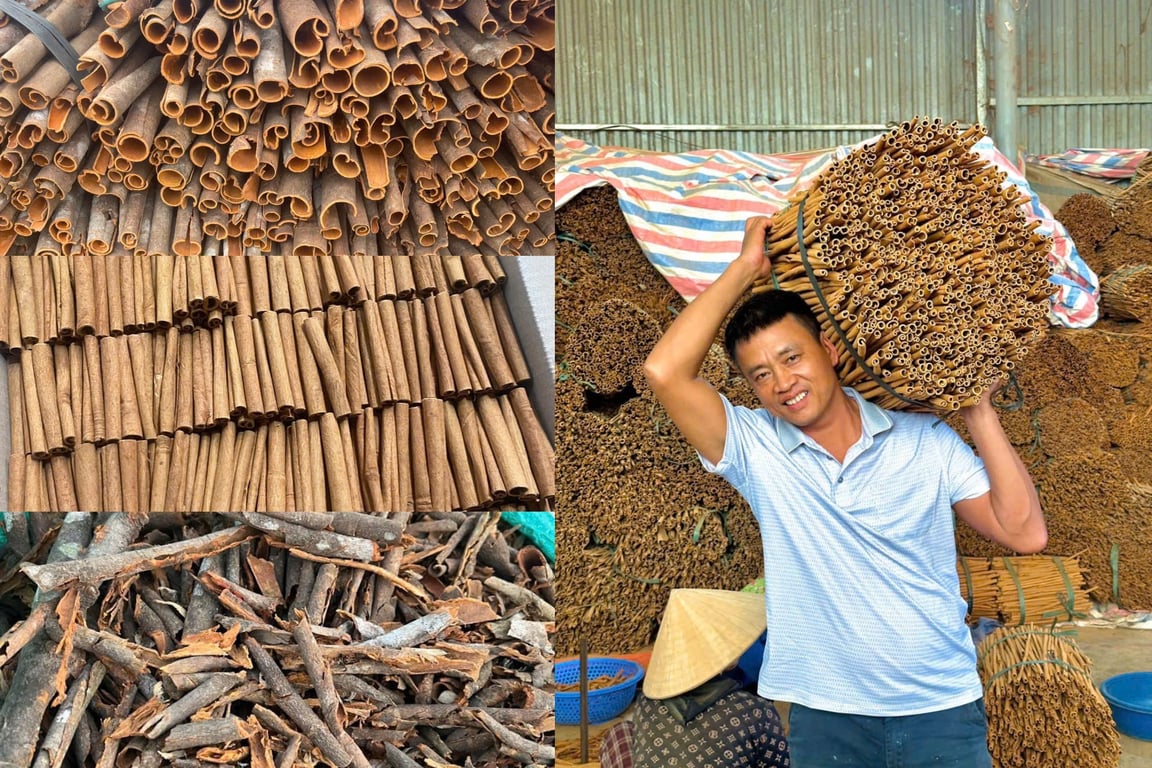 Tại sao chọn chúng tôi